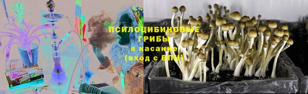 PSILOCYBIN Дмитриев