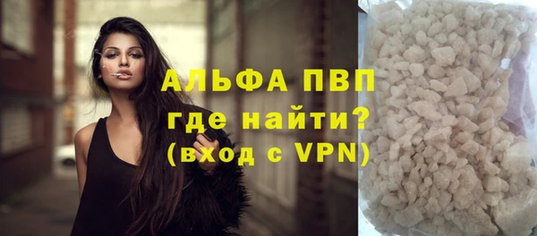 PSILOCYBIN Дмитриев