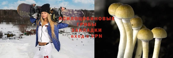 дживик Дмитровск