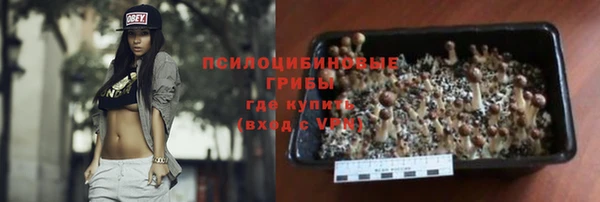 дживик Дмитровск