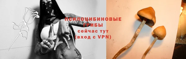 PSILOCYBIN Дмитриев