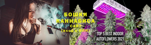 PSILOCYBIN Дмитриев