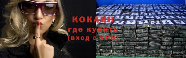 PSILOCYBIN Дмитриев