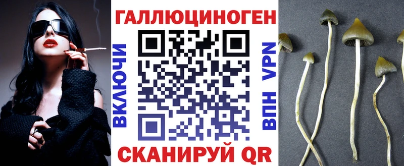 Галлюциногенные грибы прущие грибы  Купить где  Междуреченск 